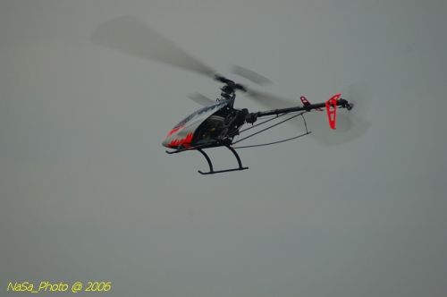 DSC_9997.jpg