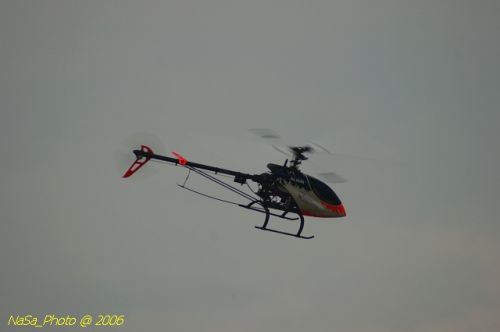DSC_9998.jpg