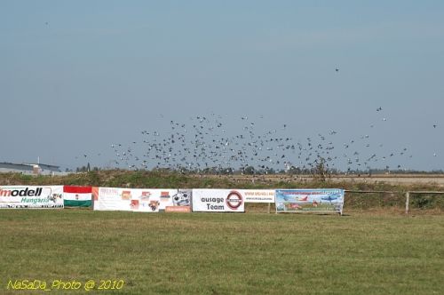 DSC_4193.JPG