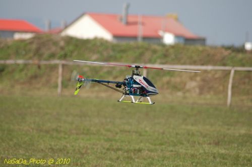 DSC_4208.JPG