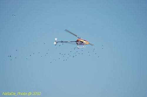 DSC_4256.JPG