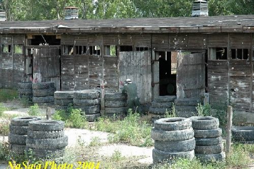 Dsc_0199.jpg