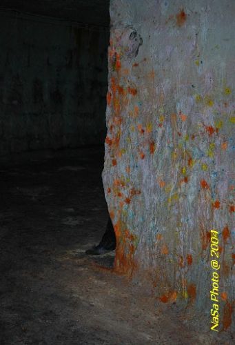 DSC_5804.JPG