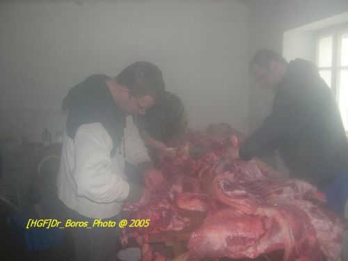 DSCN6273.JPG