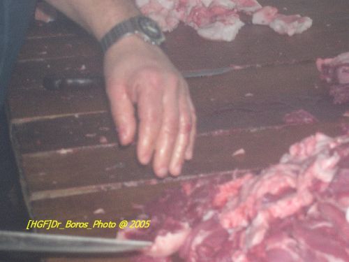 DSCN6276.JPG