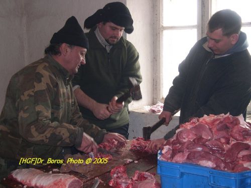 DSCN6295.JPG
