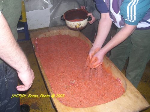 DSCN6309.JPG