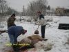 DSCN6257.JPG