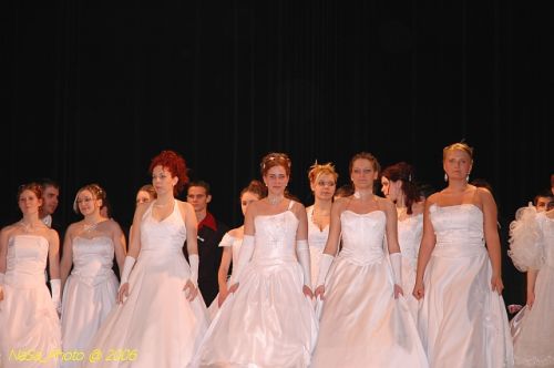 DSC_5200.JPG